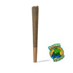 PRE ROLL IGUANA - 1GR