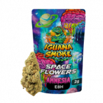 IGUANA SMOKE - SPACE FLOWERS  E8H  AMNESIA 2GR