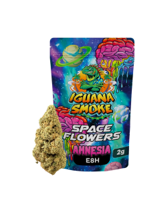 IGUANA SMOKE - SPACE FLOWERS  E8H  AMNESIA 2GR